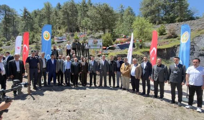 Düziçi’nde Karacaoğlan Hatıra Ormanı’nda Fidan Dikildi