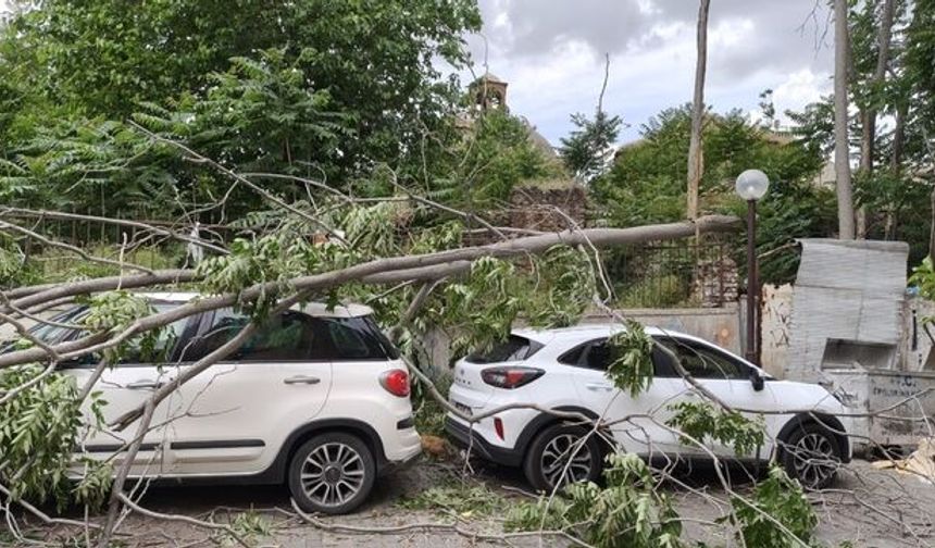 Efeler’de Şiddetli Rüzgar Hasara Yol Açtı