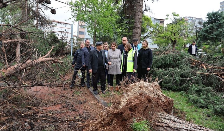 GÜNCELLEME - Gaziantep'te fırtınanın verdiği hasar gün aydınlanınca ortaya çıktı