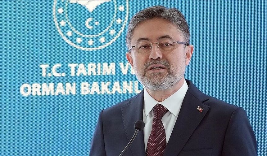 Osmaniye ve Türkiye’ye Orman Yangını Uyarısı: “Ateş Yakmayalım”