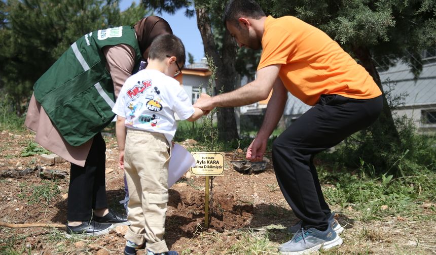 Kahramanmaraş'ta okul saldırısında hayatını kaybedenler için fidan dikildi
