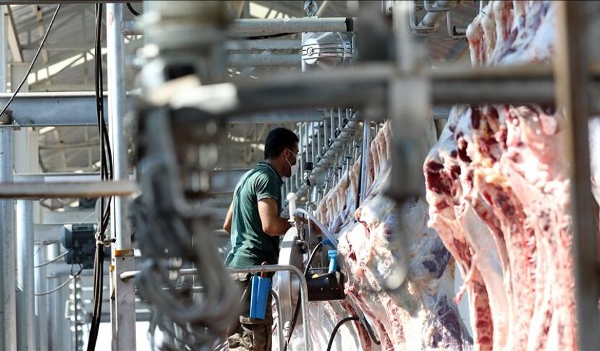 Osmaniye’de Kurban Kesimhanelerine Yeni Kurallar