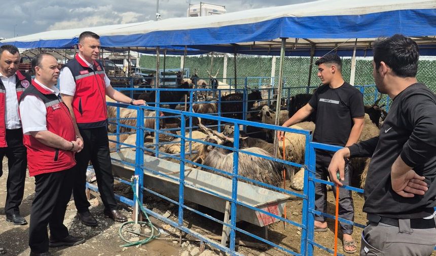 Osmaniye’de Kurban Bayramı Öncesi Hayvan Pazarlarında Sıkı Denetim