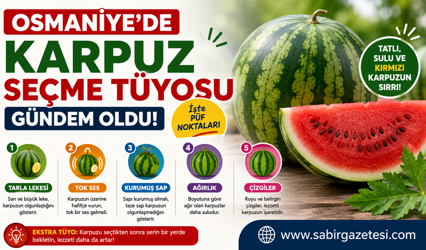 Osmaniye’de Karpuz Seçme Tüyosu Gündem Oldu