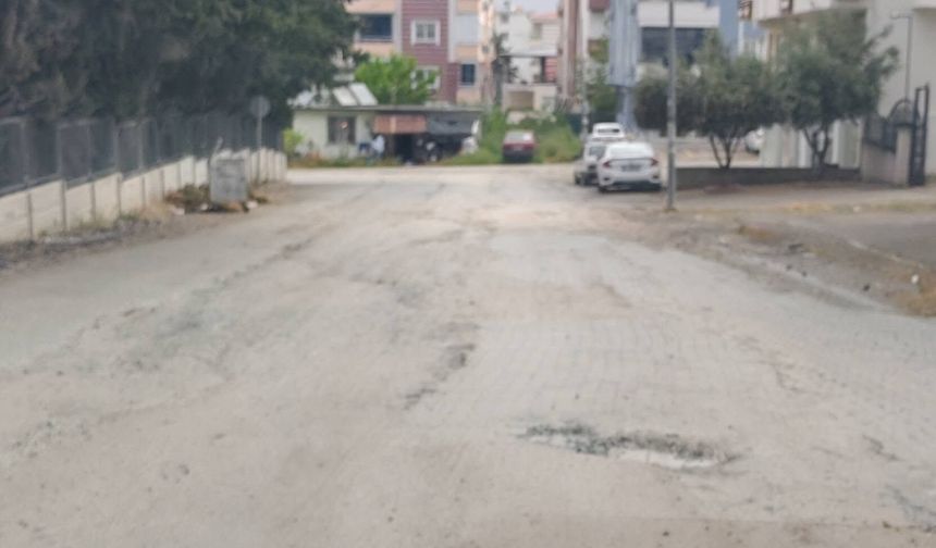 Üniversite Yollarına Tepki: “Öğrenciler Osmaniye’ye Emanet”