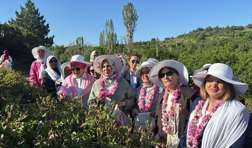 AK Parti Kadın Kolları Başkanı Ercan, Isparta'da Gül hasadına katıldı: