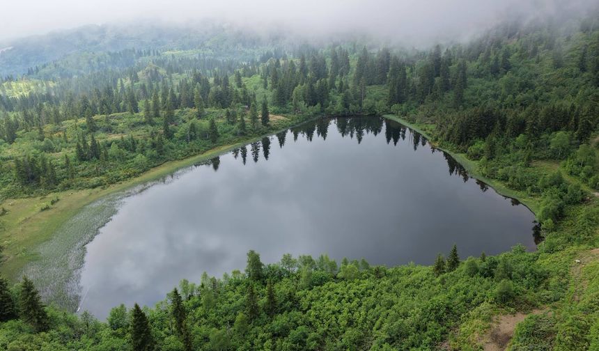 Artvin Murgul Karagöl ve Tiryal Dağı Doğayı Büyülüyor