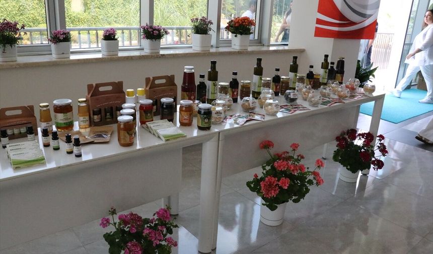 'CGIAR 24. Yönetim Kurulu Toplantısı'na Antalya ev sahipliği yaptı
