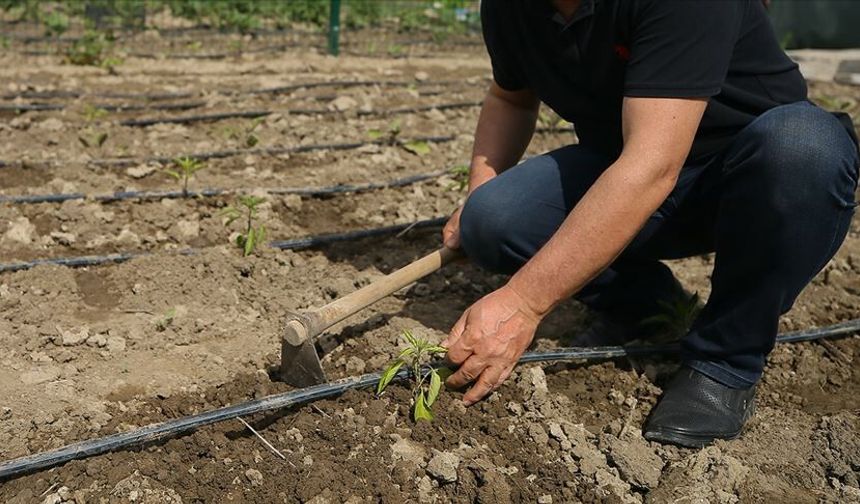 Osmaniye’de Tarım Arazileri Korunacak: Hobi Bahçelerine Ceza Ve Kısıtlama Geldi