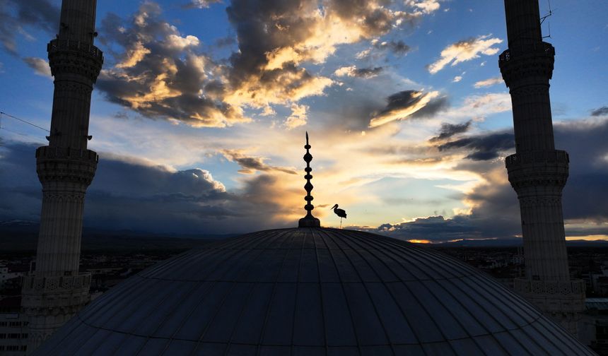 Iğdır'da kubbeye konan leylek gün batımıyla görüntülendi