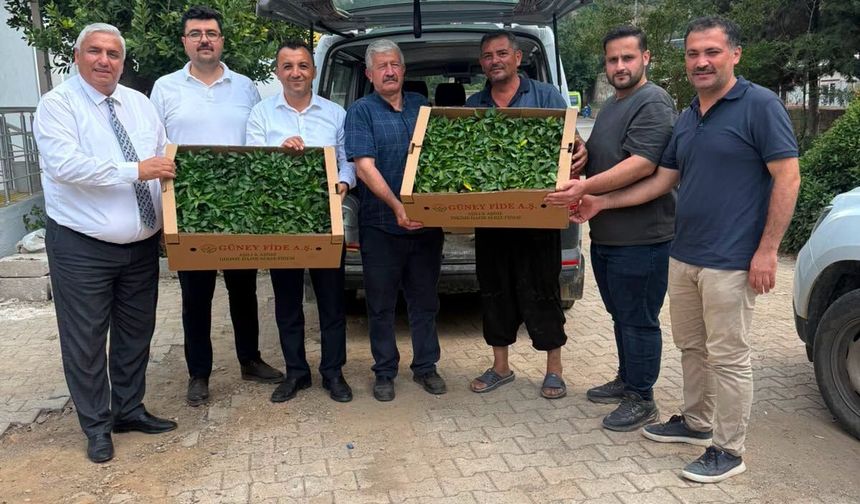 Osmaniye Bahçe’de 500 Bin Fide Üreticilere Dağıtıldı