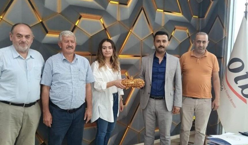Osmaniye’de Yer Fıstığı İçin Kritik Toplantı: Üretim ve Fiyat İstikrarı Masada
