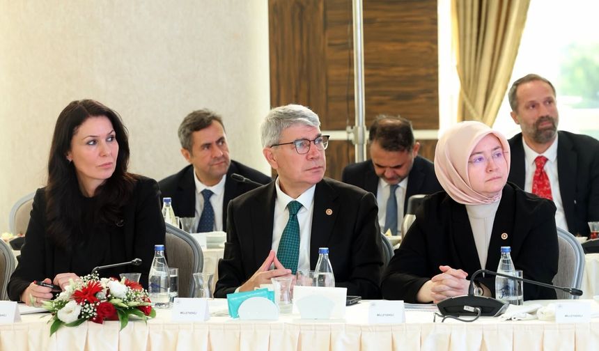 Seydi Gülsoy İstişare ve Değerlendirme Toplantısına Katıldı