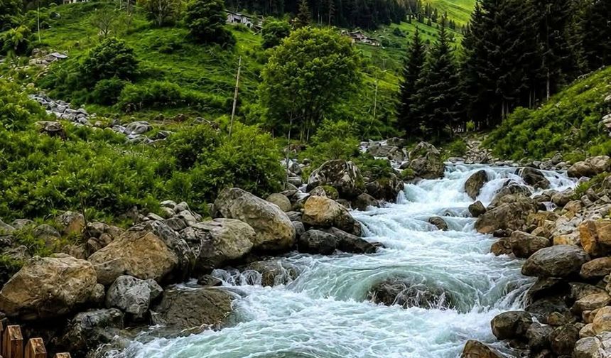 Trabzon Çaykara Demirkapı Yaylası Doğasıyla Büyülüyor