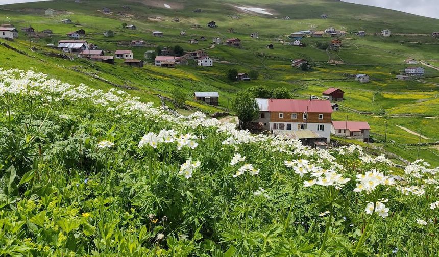 Köşk Yaylası Köprübaşı’nda Anlık Hava Değişimi Yaşandı
