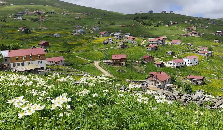 Of, Trabzon’un Yeşille Bütünleşen Saklı Güzelliği