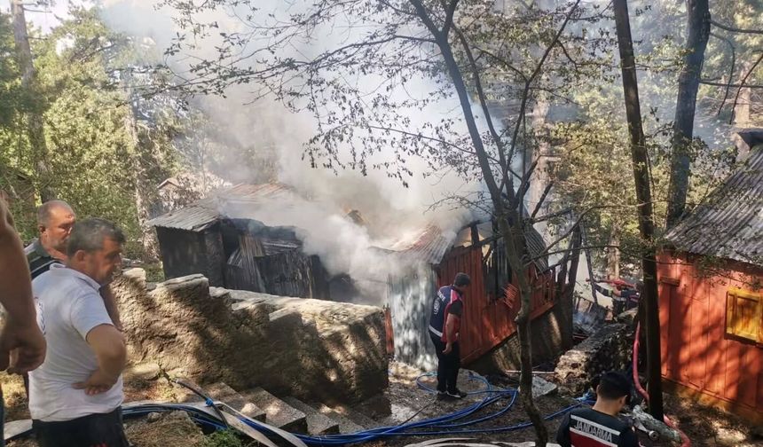 Zorkun Yaylası'nda Korkutan Yangın
