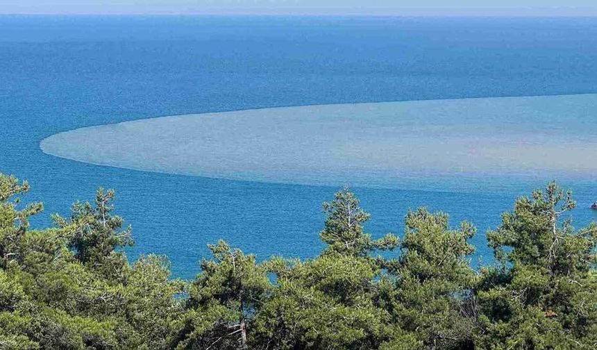Bartın'da Denizin Rengi Bir Gecede Değişti
