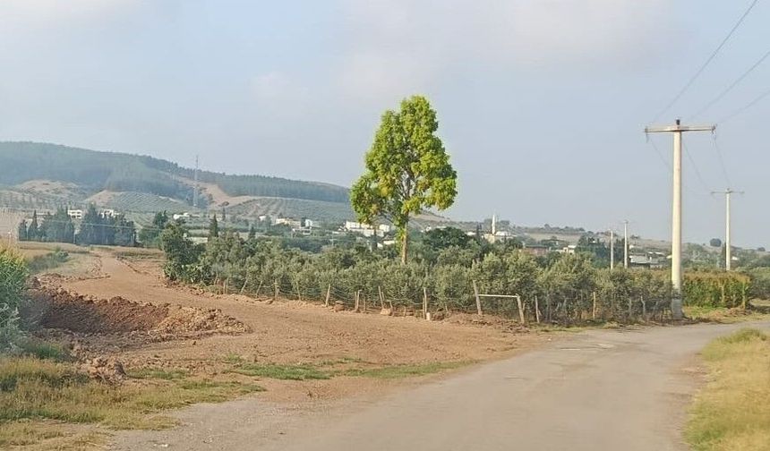 Cevdetiye–Sakızgediği Yolunda Vatandaşın Asfalt Beklentisi