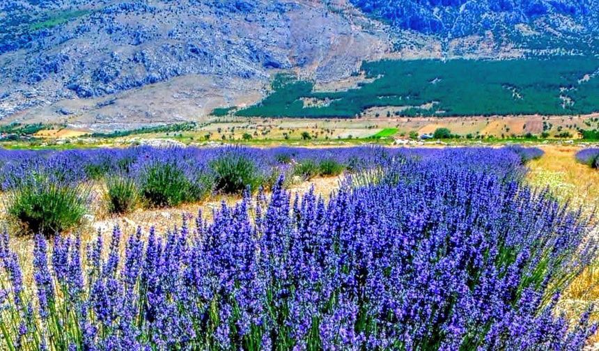 Denizli’de Malı Dağı Acıpayam Ovası’na Görsel Şölen Sunuyor