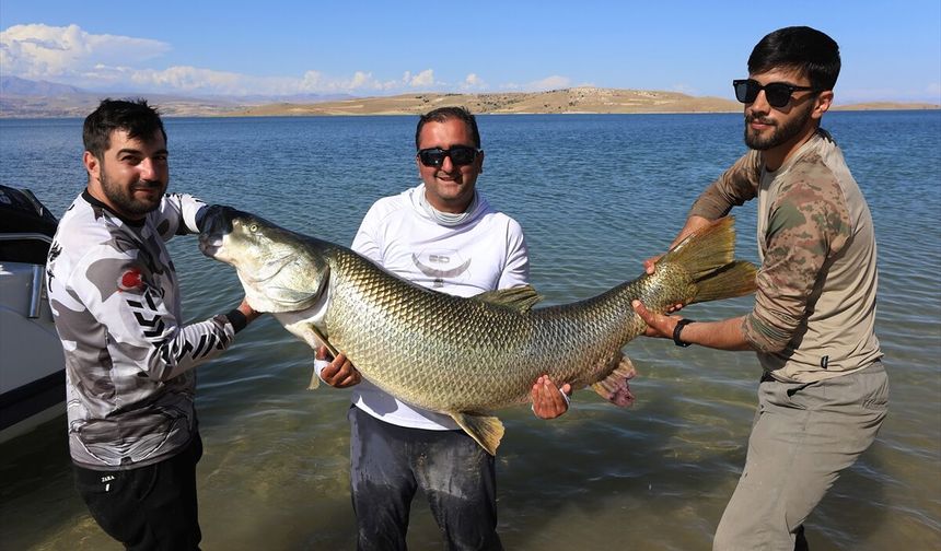 Elazığ'da sportif balıkçı 1,7 metrelik turna balığı yakaladı