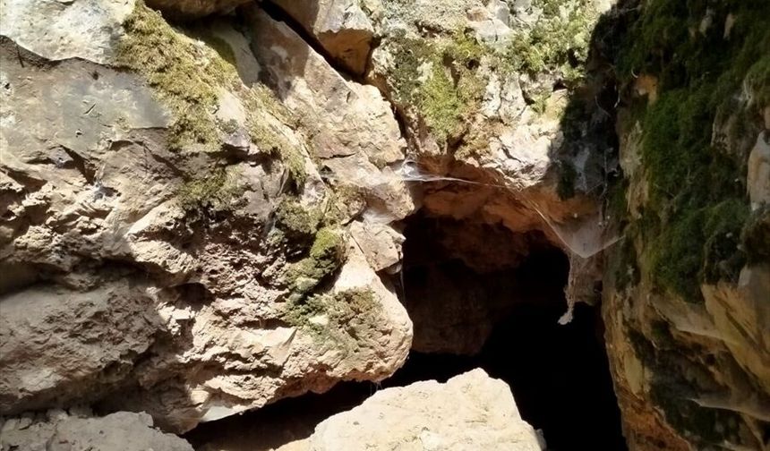 İnkaya Mağarası'ndaki 86 bin yıl öncesine ait yaşam izleri yeni yöntemlerle araştırılıyor