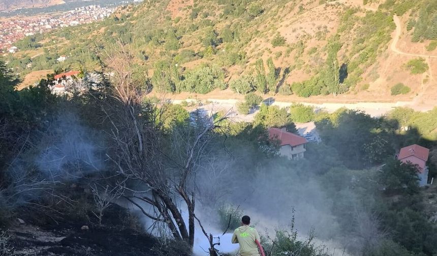 Isparta'da çıkan orman yangını söndürüldü