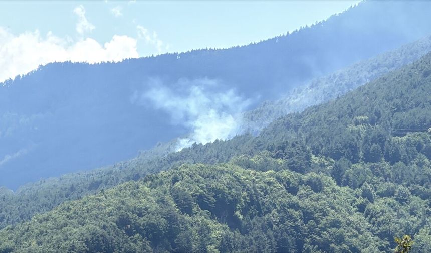 Karabük'te ormanlık alanda çıkan yangın kontrol altına alındı