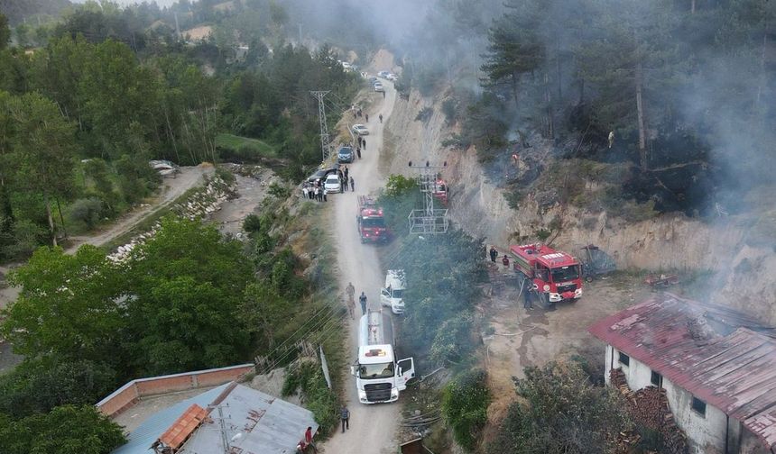 Kastamonu'da Alevler Ormanı Sardı!