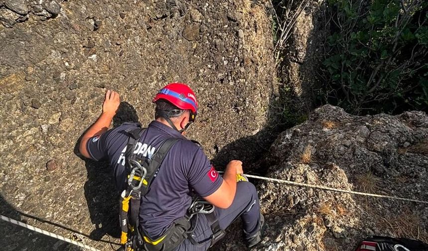 Kozan ilçesinde kayalıkta mahsur kalan keçi kurtarıldı