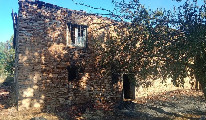 Malatya'da meyve bahçesinde çıkan yangında 2 ev zarar gördü