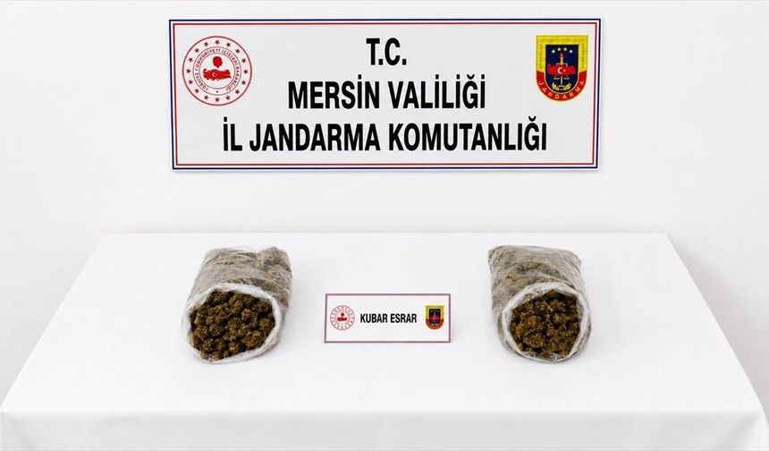 Mersin'de uyuşturucu satıcılarına yönelik operasyonda 2 şüpheli tutuklandı