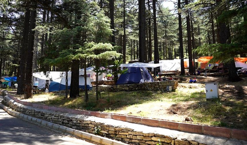 Mikrokliması ve mavi sedir ormanlarıyla Kızıldağ ziyaretçilerini ağırlıyor