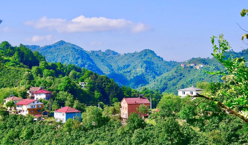 Ordu Bayadı Vadisi Doğa Tutkunlarının Gözdesi Oldu