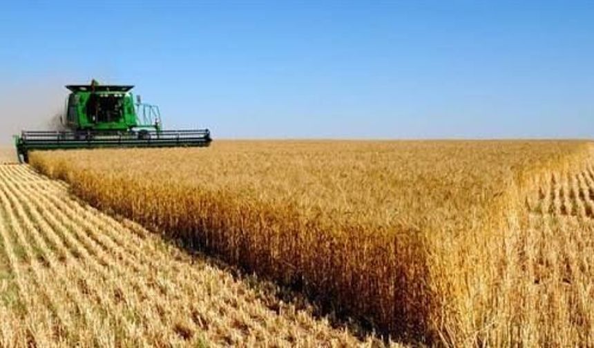 Hasatta Dane Kayıplarına Karşı Kontroller Sürüyor