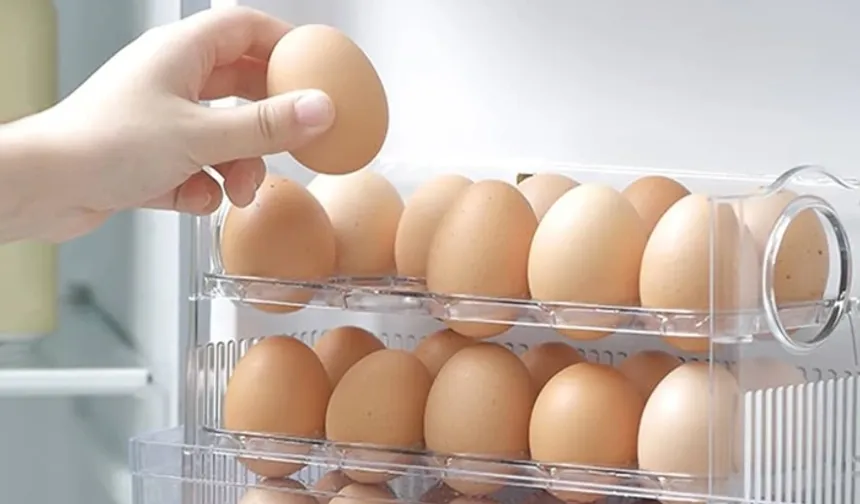 Osmaniye’de Yumurtayı Yıkayanlara Uzmanlardan Uyarı