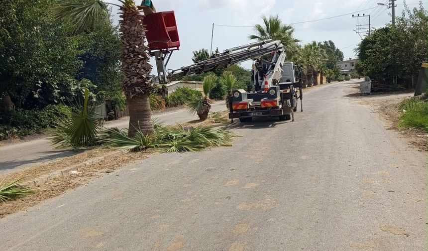 Yumurtalık'ta Kaldırım Mahallesi'nde Temizlik Seferberliği