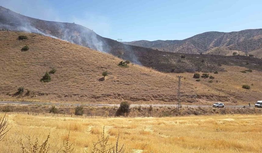 Elazığ'da Anız Yangını Büyümeden Kontrol Altına Alındı