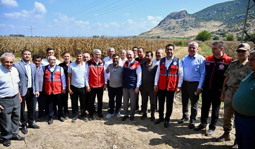 Osmaniye’de Mısır Hasadı Bereketle Gerçekleşti