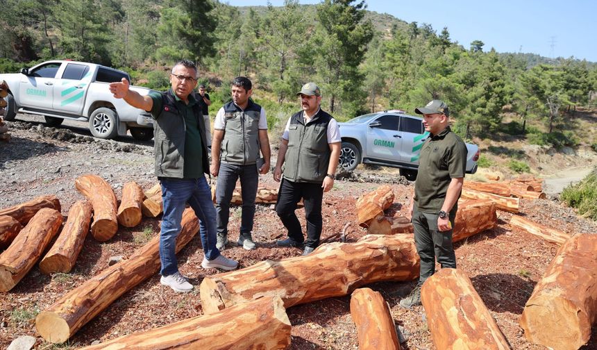 Antakya’daki Orman Üretim Sahaları Denetlendi