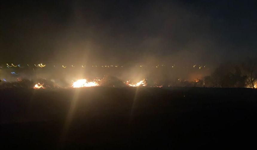Antalya'da makilik alanda çıkan yangına müdahale ediliyor