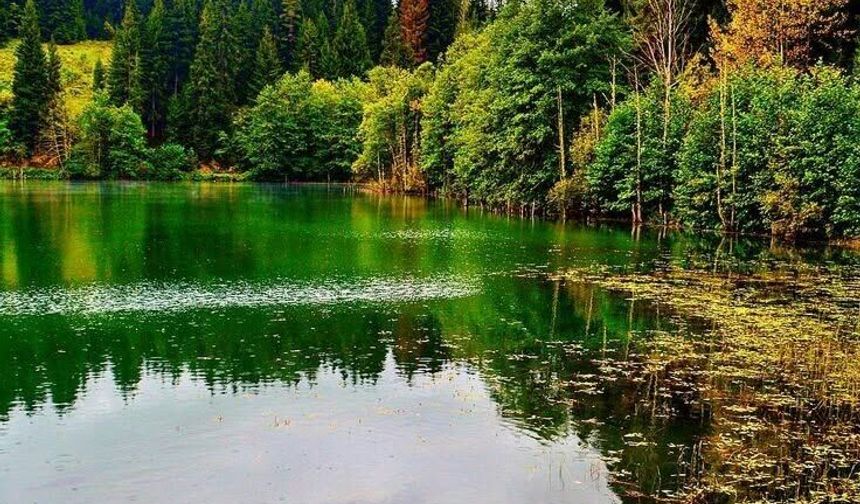 Artvin Şavşat Karagöl’de Doğayla Huzur Buluşuyor