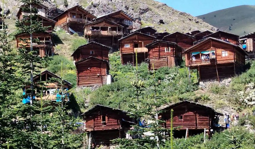 Artvin Şavşat Yanıklı Yaylası’nda Büyüleyen Manzaralar