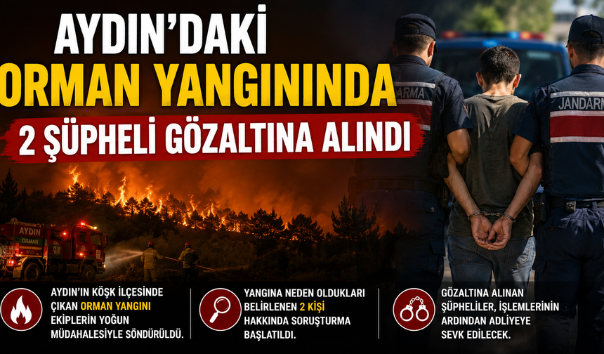 Aydın'daki Orman Yangınında 2 Şüpheli Gözaltına Alındı