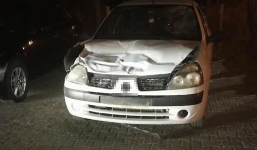 Çankırı’da Otomobil Eşeğe Çarptı
