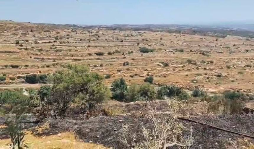 Hatay Defne’de Makilik Alan Yangını Kısa Sürede Söndürüldü