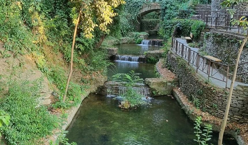 İzmir Tire’deki Derekahve Doğaseverlerin Gözdesi