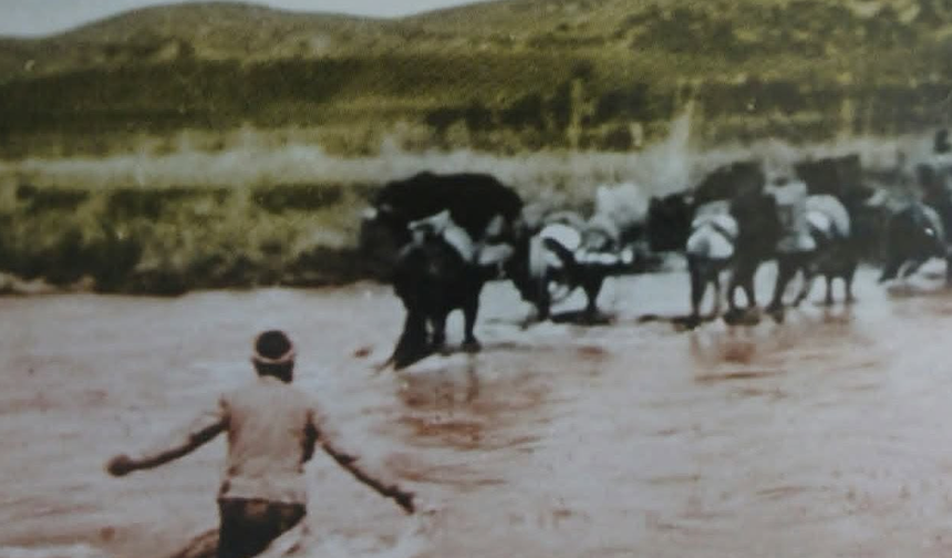 1905’ten günümüze ulaşan tarihi kare! Osmaniyeli Yörüklerin yayla yolculuğu