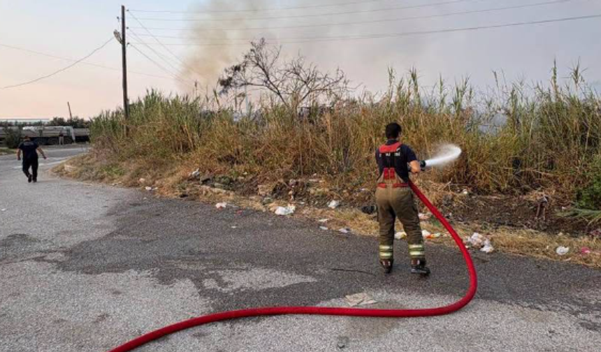 Hatay’da Sazlık Alan Yangını! Ekipler Hızla Müdahale Etti