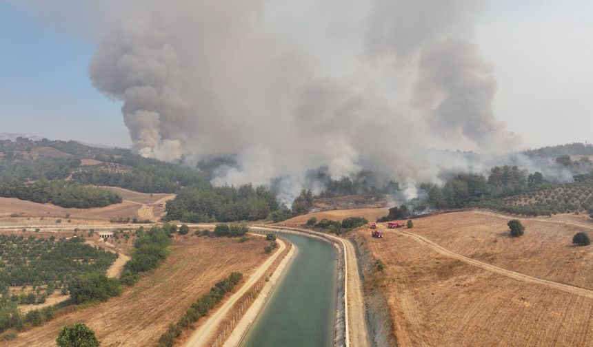 GÜNCELLEME - Adana'daki orman yangını kontrol altına alınmaya çalışılıyor